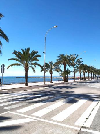 Piso en avenida de Portugal