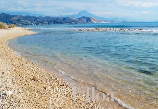 Piso en Playa Muchavista