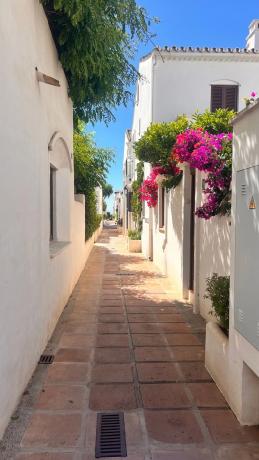 Chalet adosado en calle Teodoro Rojo