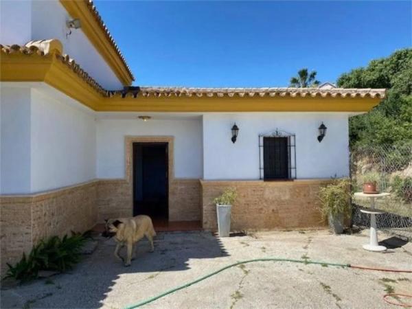 Casa independiente en calle Pilar de Farinós