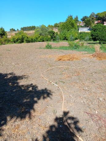 Casa independiente en camino de la Cala s/n