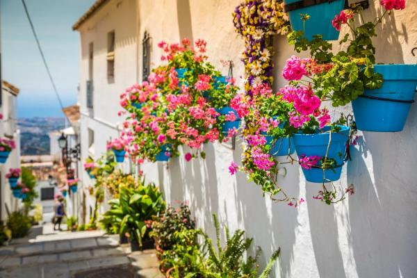 Estudio en paseo Marítimo Rey de España