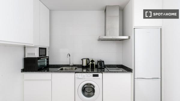 Apartamento de 1 quarto para alugar em Málaga