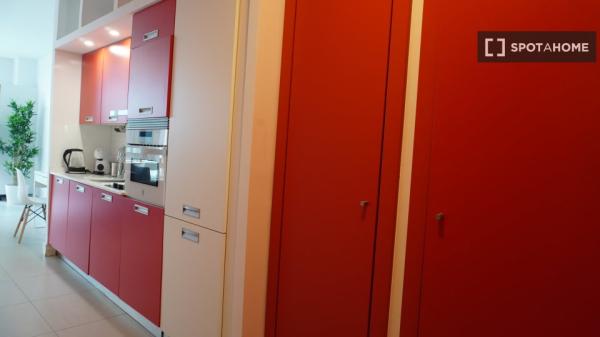 Appartement entier 1 chambre à Madrid