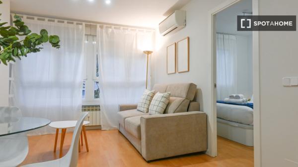 Ganze 1 Schlafzimmer Wohnung in Madrid