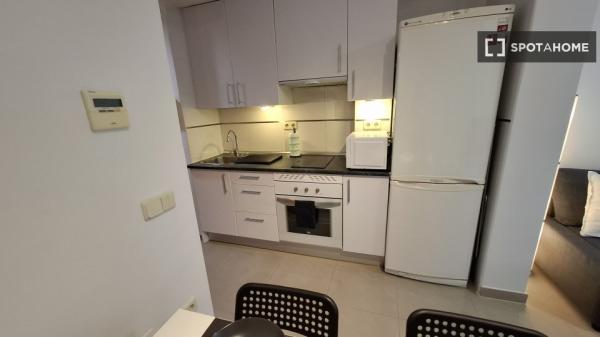 Piso en alquiler de 1 dormitorio en Quintana, Madrid