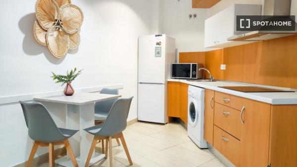 Apartamento completo de 1 dormitorio en Málaga