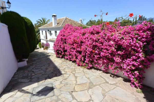 Chalet adosado en camino de la Cruz, 4