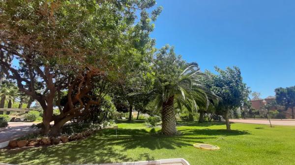 Piso en avenida Marbella Arbolada, 2