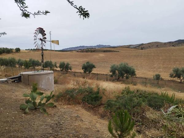 Chalet en Almogía