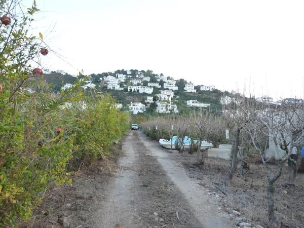 Terreno en Pego