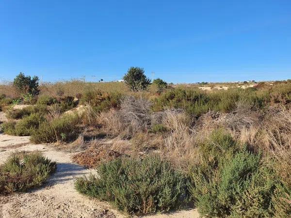 Terreno en calle Sierra Reclot