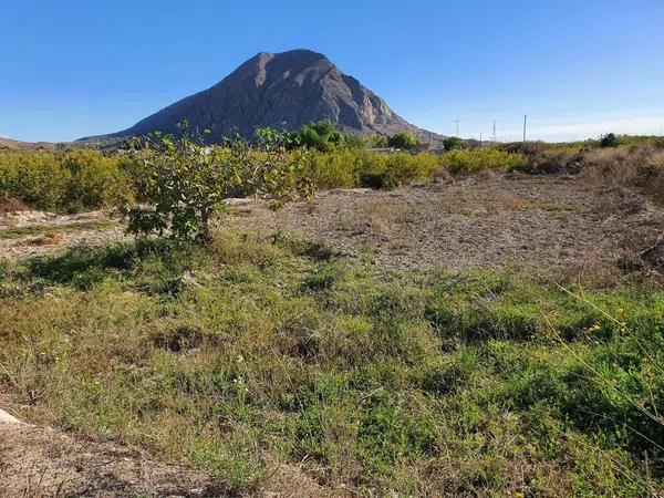 Terreno en calle Sierra Reclot