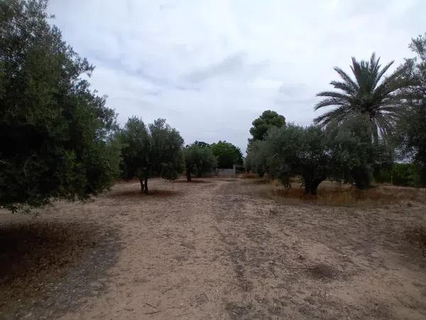 Terreno en vereda Virgen del Camino, 1