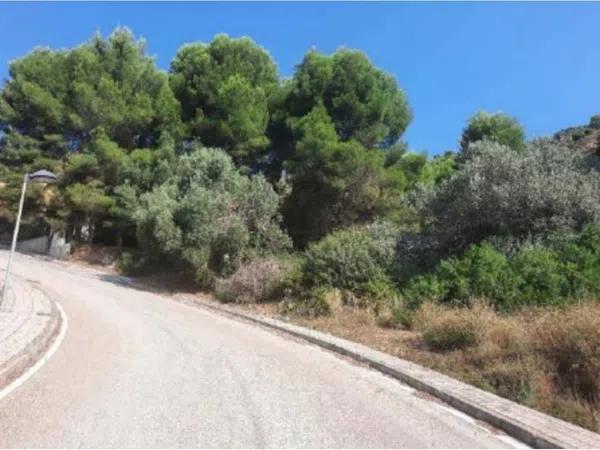 Terreno en Urbanización la Almazara