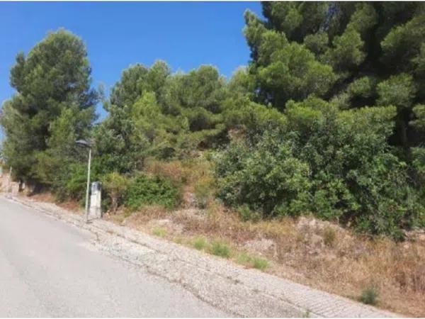 Terreno en Urbanización la Almazara