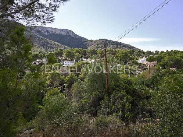 Terreno en calle Cassandra