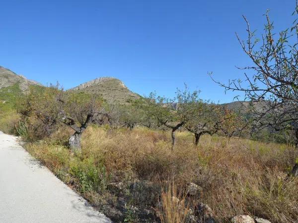 Terreno en Callosa d'En Sarria