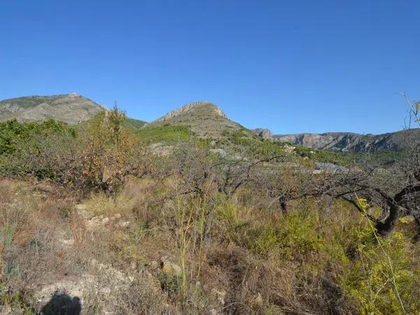 Terreno en Callosa d'En Sarria