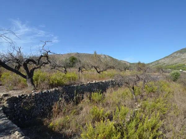 Terreno en Callosa d'En Sarria