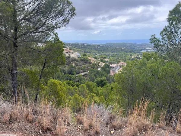 Terreno en Callosa d'En Sarria