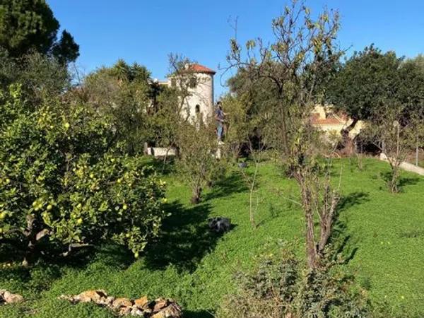 Terreno en Assagador de Santa Llúcia