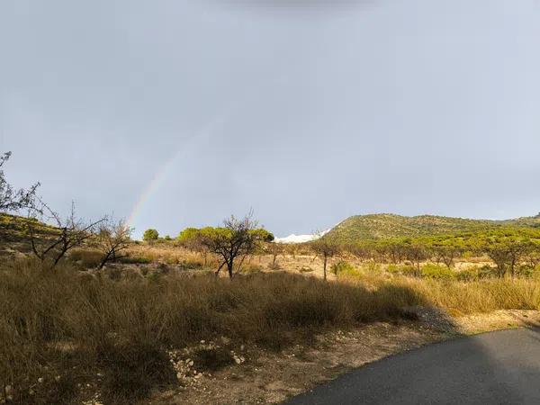 Terreno en camino de las Conejeras, 23 Poligonoparcela