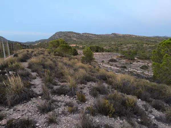 Terreno en camino de las Conejeras, 23 Poligonoparcela