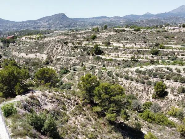 Terreno en Partida Muscaret