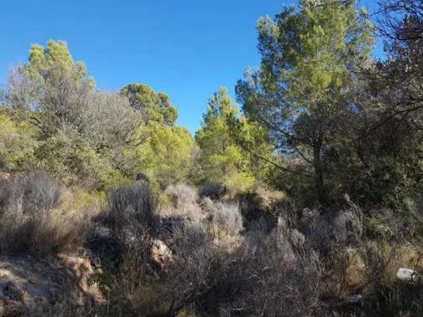 Terreno en Finestrat Pueblo