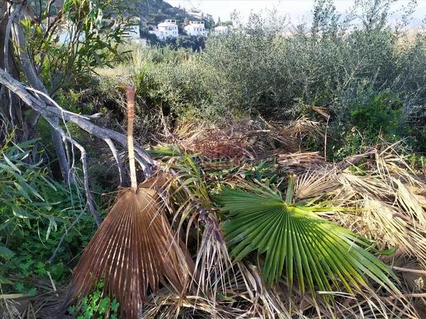 Terreno en avenida Monte Pego-Benimeli, 19