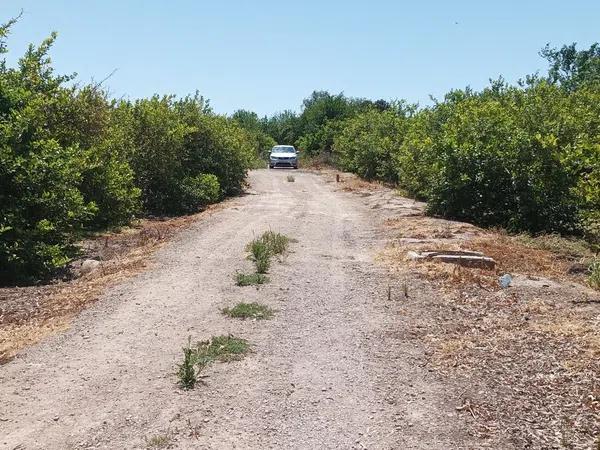 Terreno en Lugar Arneva, 116