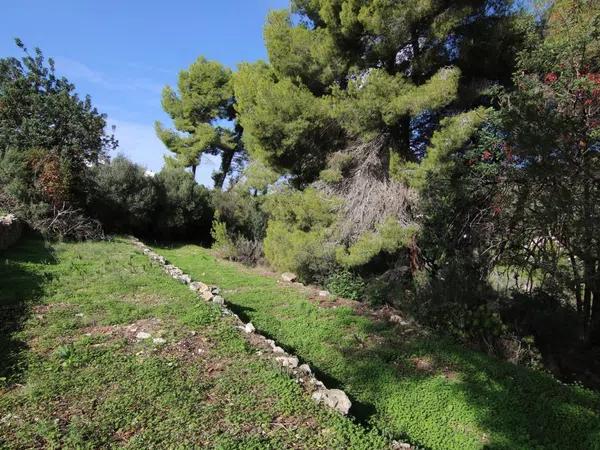 Terreno en Partida Tosal - Zona dels Castellans