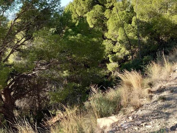 Terreno en Altea la Vella