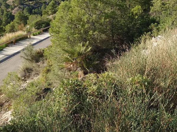 Terreno en Altea la Vella