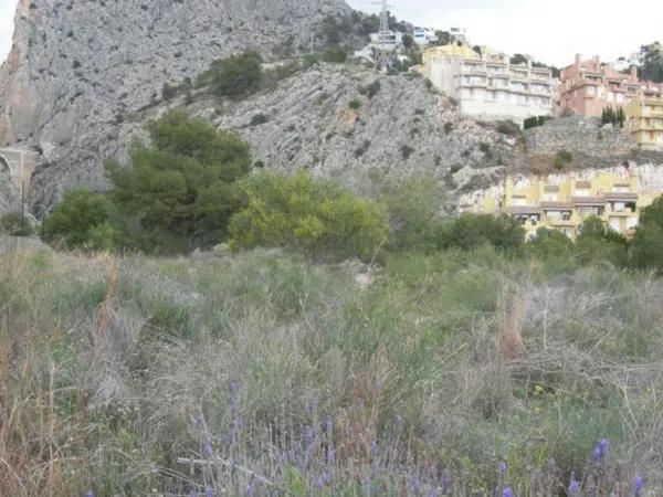 Terreno en Centro Ciudad