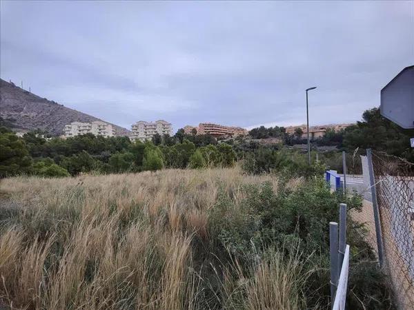 Terreno en Centro Ciudad