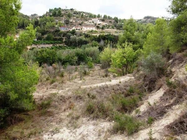 Terreno en Partida Llenes