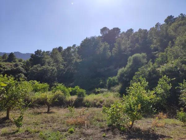 Terreno en Guadalest