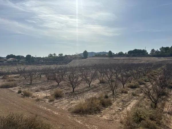 Terreno en camino de la Pedrera, 1