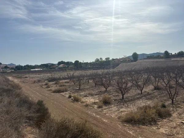 Terreno en camino de la Pedrera, 1