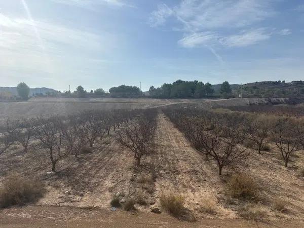 Terreno en camino de la Pedrera, 1