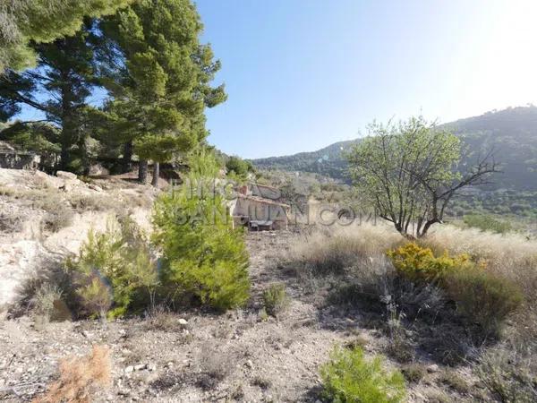 Terreno en Torremanzanas