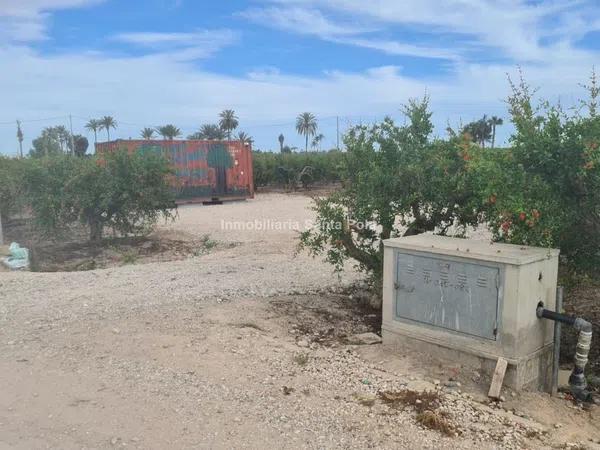 Terreno en Crevillente