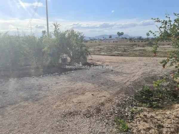 Terreno en Crevillente