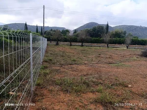 Terreno en carretera benidoleig, 1