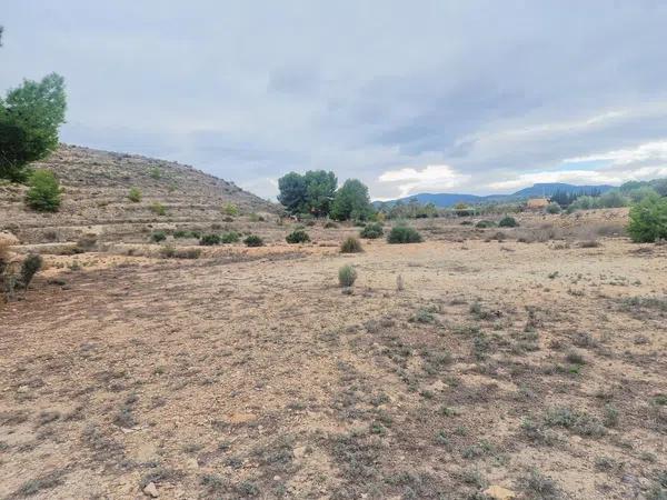 Terreno en Hondón de las Nieves