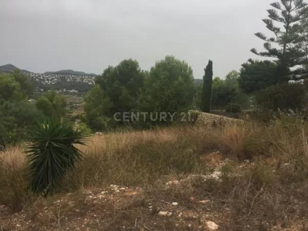 Terreno en avenida del Baix Segura, 11