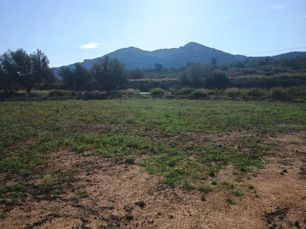 Terreno en Alcalalí