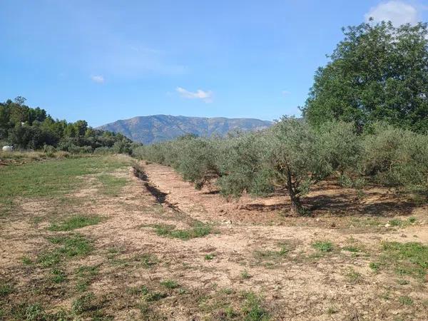 Terreno en Alcalalí